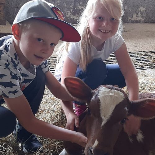 Kinderurlaub auf dem Bauernhof mit Tieren