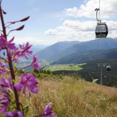 Frühling in den Bergen mit Ihrer Familie und Kindern