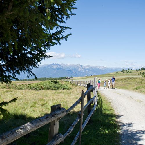 Die Rodenecker Alm ist ein Highligh