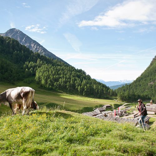 Die Rodenecker Alm ist ein Highligh